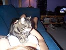 sophie liying on Lesley 06.jpg